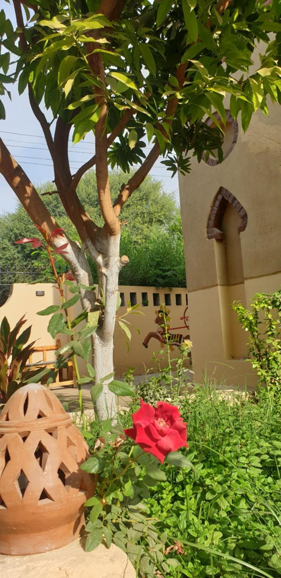 Luxor Villa Hatshepsut Zewnętrze zdjęcie